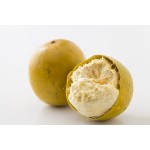 Monk Fruit Allulose Blend Factory - 1:1 2:1 Keto Friendly Sweetener