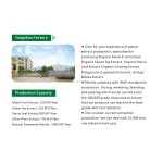 Pine Pollen Powder Manufacturer - Shell Broken 20:1 Powder