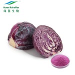 Purple Cabbage Extract Supplier - Natural Pigment Powder 4:1-10:1