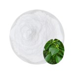 Eucommia Leaf Extract Factory - 98% Chlorogenic Acid Cosmetic