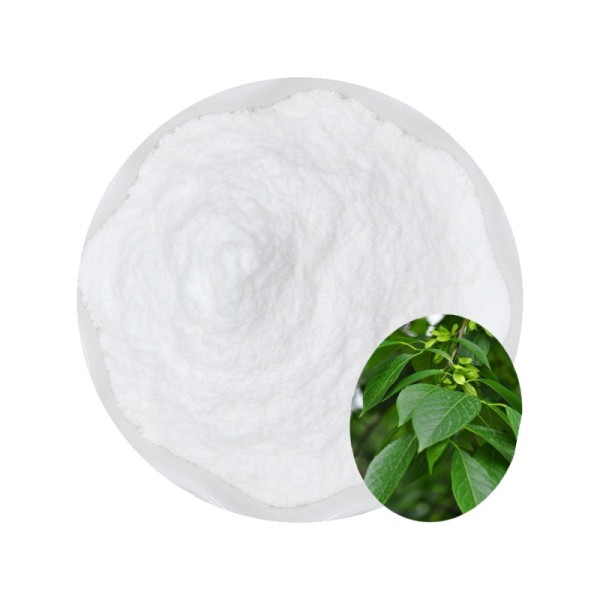 Eucommia Leaf Extract Factory - 98% Chlorogenic Acid Cosmetic