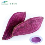 Purple Sweet Potato Powder Manufacturer - Halal Kosher Freeze Dried