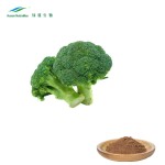 Broccoli Sprout Extract Factory - Sulforaphane Powder Natural