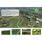 Liquid Monk Fruit Sweetener Manufacturer - Brix 65% Mogroside V 3.5%