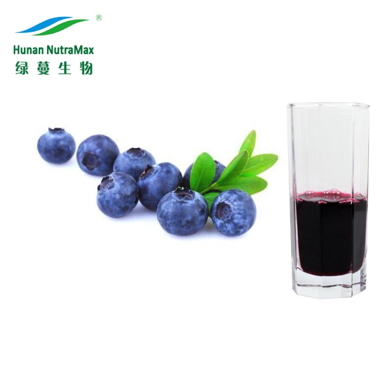 Blueberry Powder Supplier - Freeze Dried Juice Powder Drink