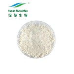 Pumpkin Seed Protein Powder Factory - 60% Seed Protein Nutrition