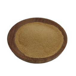Monk Fruit Extract Powder Factory - 20:1 Nutramax Pure Sweetener