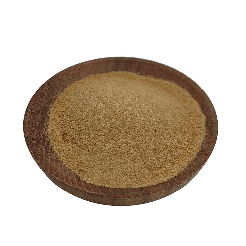 Monk Fruit Extract Powder Factory - 20:1 Nutramax Pure Sweetener