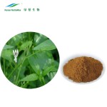 Andrographis Extract Supplier - 98% Andrographolide Powder