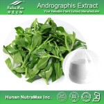 Andrographis Extract Supplier - 98% Andrographolide Powder