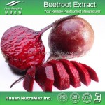 Radish Red Powder Manufacturer - Natural Food Coloring Pigment