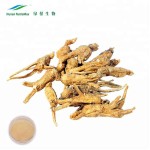 Panax Ginseng Extract Factory - 100% Pure Ginsenosides Powder