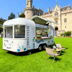 Mobile Food Truck Supplier - Electric Mini Ice Cream