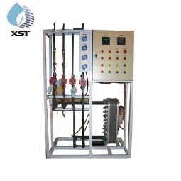 Ultrapure Water System Manufacturer - 250L/H Two Stage RO EDI