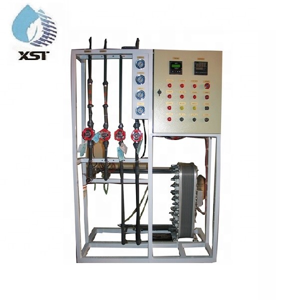 Ultrapure Water System Manufacturer - 250L/H Two Stage RO EDI