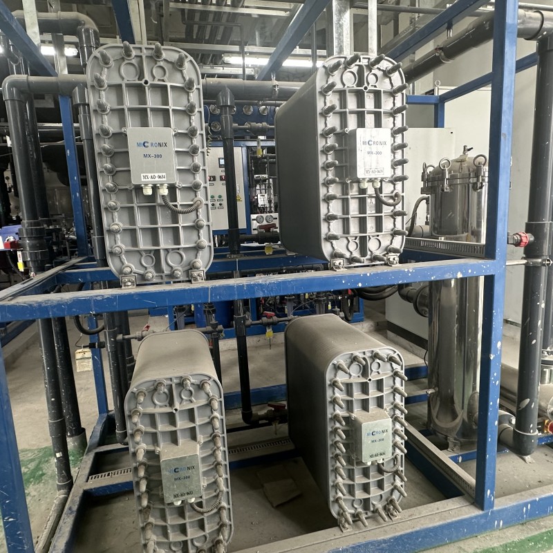 EDI Module Factory - 500L/H Deionzed Water Treatment Plant