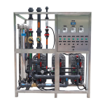 EDI Module Supplier - 3000L/H Deionized Ultrapure Water