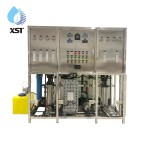 RO Water System Supplier - 1000LPH Touch Screen EDI Plant