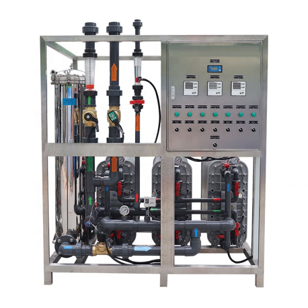 EDI System Supplier - 1000L/H 220V Pump PLC Motor