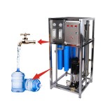 Water Purification System Factory - 500L/h RO Filtration Plant