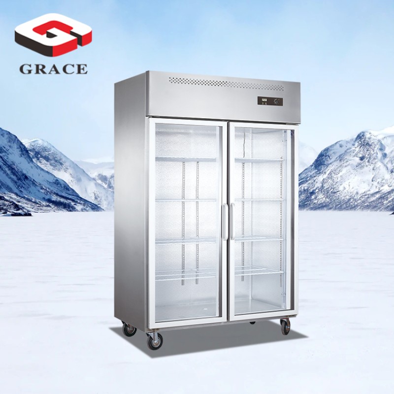 Upright Freezer Factory - Industrial 1200L 2-Door Glass