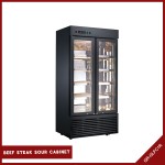 Refrigerator Manufacturer - Meat Beef Drying 2 Door