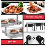 Food Warmer Manufacturer - Electric Double Bulb Heat Lamp