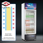 Chiller Freezer Supplier - 2 Glass Door Upright Supermarket