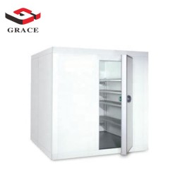 Cold Storage Supplier - GRACE Commercial Walk-in Freezer