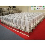 Fruit Peeling Machine Supplier - Manual Stainless Steel Pineapple