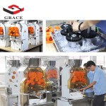Juicer Extractor Supplier - Stainless Steel Automatic Orange