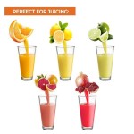 Manual Juicer Manufacturer - Hand-Press Orange Citrus Extractor