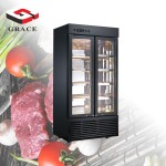 Refrigerator Manufacturer - Meat Beef Drying 2 Door