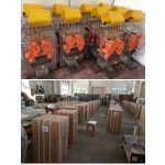 Automatic Juice Maker Supplier - Electric High-yield 20 Oranges/min