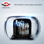 Upright Freezer Supplier - Commercial 6 Doors 1800L