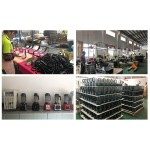 Sugar Cane Juicer Manufacturer - Stainless Steel Vertical Electric