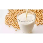 Soy Milk Machine Manufacturer - Household Multifunctional