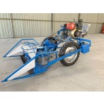 Reed Harvesting Machine Supplier - Automatic Bundling Combine