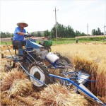 Reed Harvesting Machine Supplier - Automatic Bundling Combine