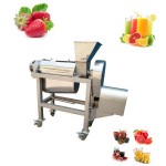 Sugarcane Machine Manufacturer - Peeling Machine Cane Peeler