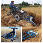 Reed Harvesting Machine Supplier - Automatic Bundling Combine