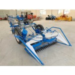Reed Harvesting Machine Supplier - Automatic Bundling Combine