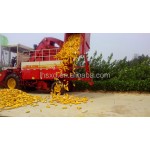Freeze Dryer Machine Factory - Fruit Food Vegetable