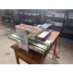 Meat Skewer Machine Factory - New Automatic Satay Souvlaki