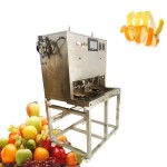 Fruit Peeling Machine Factory - Home Kitchen Round Cutting