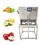 Fruit Peeling Machine Factory - Home Kitchen Round Cutting