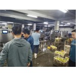 Fruit Peeling Machine Factory - Home Kitchen Round Cutting