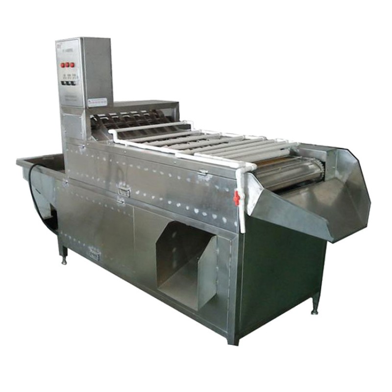 Egg Sheller Machine Supplier - Full Automatic Quail Egg Peeling