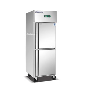 Double-temperature Refrigerator Factory - Upright Kitchen 2 Door