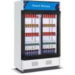 Drink Cooler Supplier - Double Glass Door Beer
